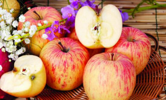 减肥晚上可以吃苹果吗的相关图片